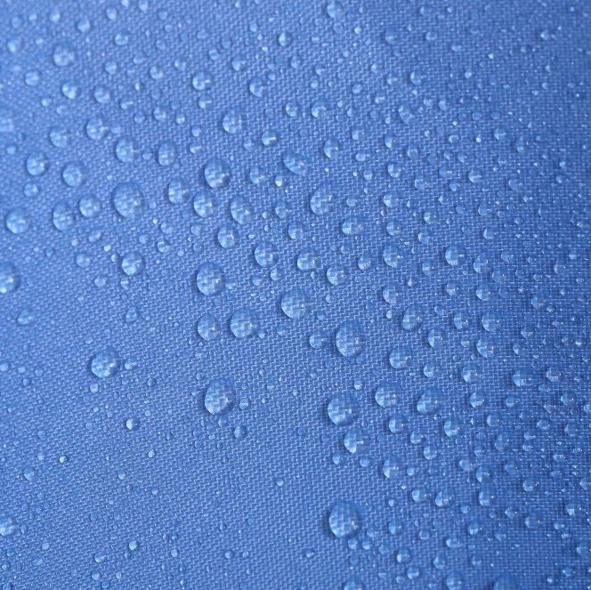 Bright Shower Curtain best
